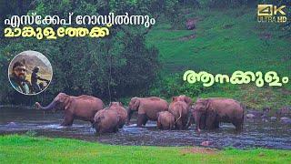 Munnar Escape road to Mankulam  Anakkulam  Ep 4 of Idukki hill stations