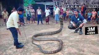 जब झोपडे के अंदर निकला दुनिया का सबसे लंबा सांप किंग कोबरा जिसे देख कर रुह कांप उठती हैं King Cobra