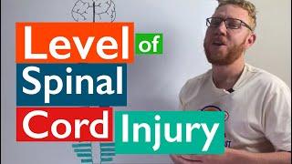 Spinal Cord Injury  Levels of injury