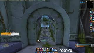 Classic WoW  P5 - Dire Maul East Lasher farm - Fire Mage raid spec