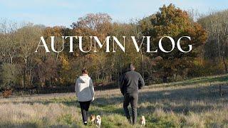 Autumn In The Countryside  Slightly Silent Vlog