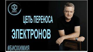 Биохимия Цепь переноса электронов