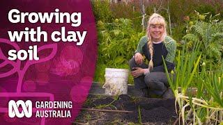 Tips for growing with heavy clay soil in your garden  Discovery  Gardening Australia