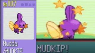 Live Shiny Mudkip on Sapphire