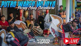 PERANG CELENG SAKEMBARAN  PUTRO WARSO WIJOYO LIVE WONOAYU 2023