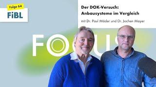 FiBL Focus 64 Der DOK-Versuch – Anbausysteme im Vergleich