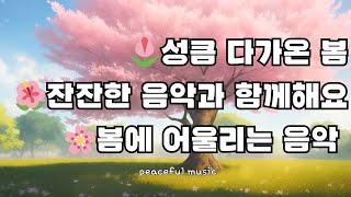 성큼 다가온 봄잔잔한 음악과 함께해요봄에 어울리는 음악 봄 노래