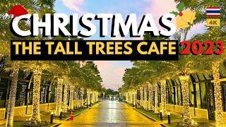 The Tall Trees Cafe Bangkok  Bangkok Cafe 2023  Life in Thailand 2023