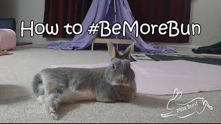 How to #BeMoreBun