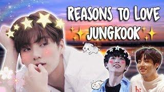 Reasons to Love BTS Jungkook Version
