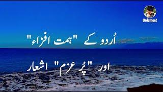 Motivational Poetry  ہمت افزاء اور پُرعزم اشعار  Urdu\Hindi Poetry  Shayari  Urdument