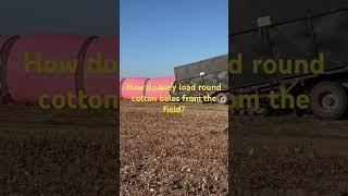 Gathering round cotton bales from the field. How is it done?
