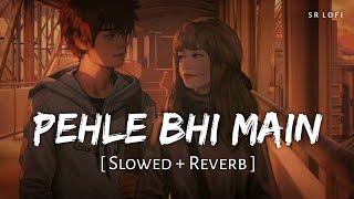 Pehle Bhi Main Slowed + Reverb  Vishal Mishra  Animal  SR Lofi