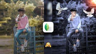Snapseed Grey And Bird Effect Photo Editing Tricks   Snapseed Background Colour Change Tutorial