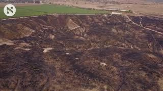 Burnt Israeli fields near Gaza