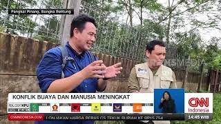 Konflik Buaya Dan Manusia Meningkat  REDAKSI 050324