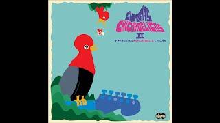 Cumbias Chichadélicas 2  + Peruvian Psychedelic Chicha Infopesa Disco Completo  Full Album