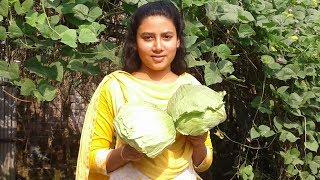 Delicious Cabbage Fry Recipe  Vegetable  Simple Cabbage Sabzi By Street Village Food