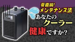 ここまでやれば大丈夫！！サンゴ水槽 クーラー メンテナンス【2024年6月号 vol.2】