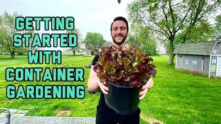 Container Gardening Vegetables for beginners - Easiest way to start growing your own food at home