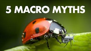 5 Myths that Macro Photography Beginners Believe