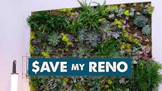 DIY Living Plant Wall  Save My Reno