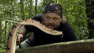 A SERPENTE MAIS TEMIDA DA AMAZÔNIA  RICHARD RASMUSSEN