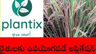 Plantix Your Crop Doctor Review 2021 How Plantix Application to Help Farmers  Telugu Instant News