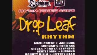 Drop Leaf Riddim Mix 2005 By DJ WOLFPAK