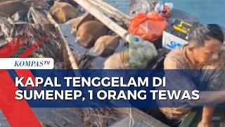 Kapal Motor yang Angkut 16 Penumpang dan Sapi di Sumenep Tenggelam 1 Anak Meninggal Dunia