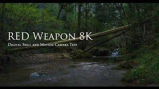 RED WEAPON 8K Digital Still and Motion Camera Quick Test
