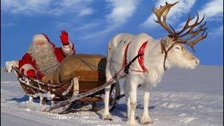 Papai Noel  os melhores passeios de rena de Pai Natal na Laponia Finlândia Santa Claus Rovaniemi