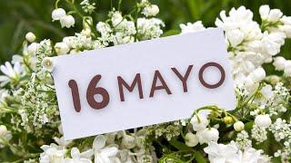 Tu tiempo con Dios 16 de Mayo de 2023 2 Samuel 1824-33