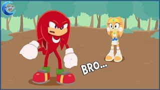 Bro are you flirting with my sister?  Sonic animation meme