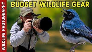 20 BUDGET items for WILDLIFE PHOTOGRAPHY