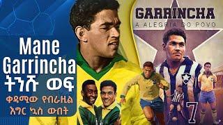 Mane Garrincha ትንሹ ወፍ  The Joy of the People ቀዳሚው የብራዚል እግር ኳስ ፊትአውራሪ በትሪቡን የኮኮቦች ገፅ