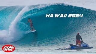 COLA BROS  BEST OF HAWAII 2024