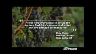 Bird Gard is The World Leader in Electronic Bird Control Products