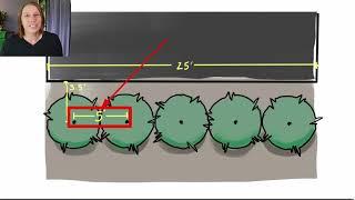 Plant Spacing Secrets & how to balance your landscape