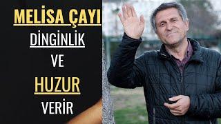 LİMON KOKULU MELİSA ÇAYI FAYDALARI I NE İŞE YARAR I MELİSA ÇAYI NASIL DEMLENİR ve ÇAYININ FAYDASI