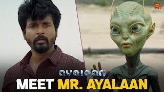 The Mysterious Tattoo   Ayalaan  Sivakarthikeyan  Rakul Preet Singh  Yogi Babu  Sun TV