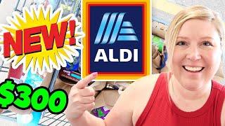 We are doing something NEW  $300 Aldi Grocery Haul