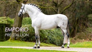 EXPRESSIVE & BAROQUE PRE STALLION STANDING AT STUD