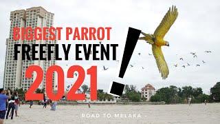 Parrot Mall Road to Melaka MDITS. Event parrot terbesar 2021
