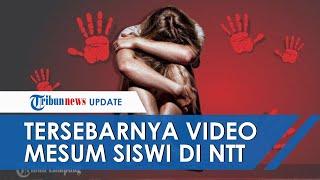 Kronologi Tersebarnya Video Mesum Siswi SMA Alor NTT Ternyata Korban Diperkosa Pelaku 8 Kali