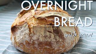 Overnight No Knead Bread  with commercial yeast  Beginner recipe  In For The Food