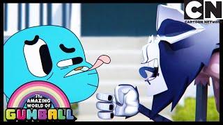 Gumball and Miss Simian strike up an unlikely friendship  The Ape  Gumball  Cartoon Network