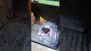 Char-Griller Grand Champ XD First Cook Temp - link in description