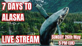 Suite Natured May Live Stream  7 Days Until Alaska