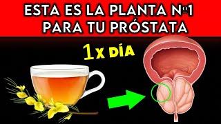 PLANTA #1 que MEJORA la PRÓSTATA COMO TOMARLA